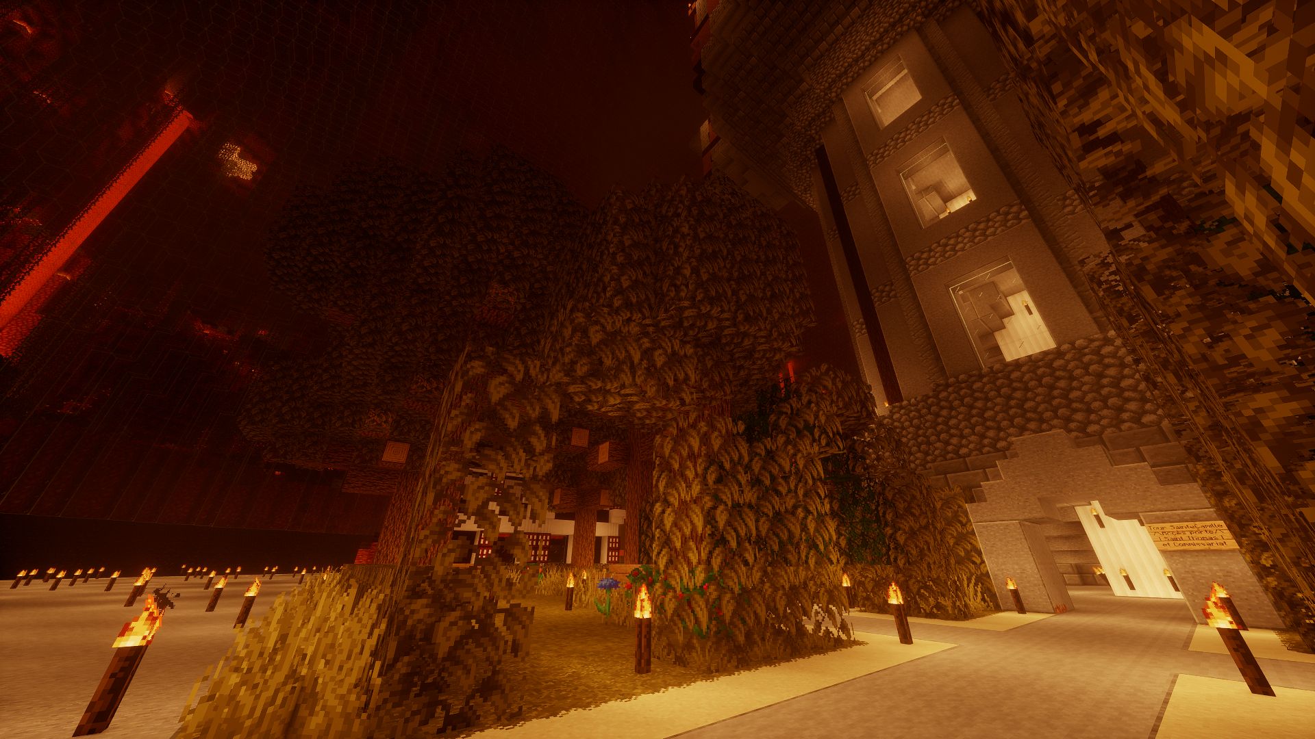 Photo de Nether